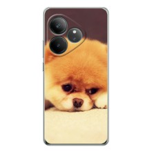 Чехол (ТПУ) Милые собачки для Realme GT 7 (Померанский шпиц)