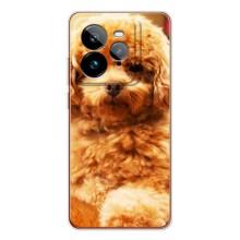 Чохли з собаками для Realme GT 7Pro (VPrint)