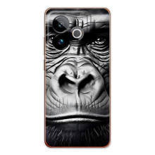 Чехлы с Горилой на ДжиТи 7Т (Черная обезьяна)