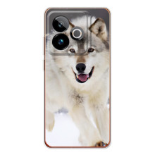 Чехол с Волком на Realme GT 7T – Волк на снегу