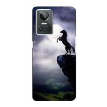 Чохли з зображенням різних тварин на Realme GT Neo 3 (Кінь)