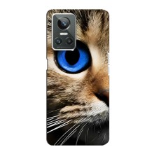 Чехлы с Котиками для Realme GT Neo 3 (VPrint) (Глаз кота)