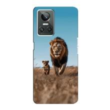 Чехол Король лев на Реалми GT Нео 3 (Мусафа и Симба)