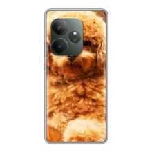 Чехлы с собаками для Realme GT Neo 6 SE (VPrint) (Щенок Бишон)