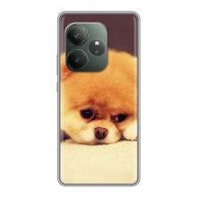 Чохол (ТПУ) Милі песики для Realme GT Neo 6 SE (Померанский шпіц)