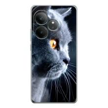 Чехлы с Котиками для Realme GT Neo 6 (VPrint) (Серый Кот)