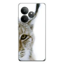 Чохли з картинкою животних Realme GT Neo 7 (Рись)
