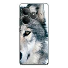 Чохли з картинкою животних Realme GT Neo 7 (Вовк)