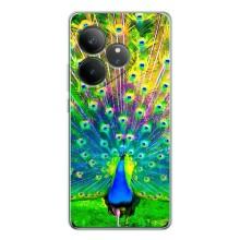 Чехол с птицами на Realme GT Neo 7 (VPrint) (Яркий Павлин)