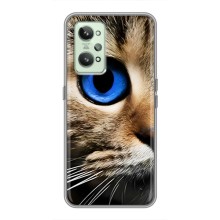 Чехлы с Котиками для Realme GT2 (VPrint) (Глаз кота)