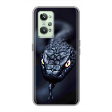 Чехол с картинкой «Хищники» для Realme GT2 – Змея