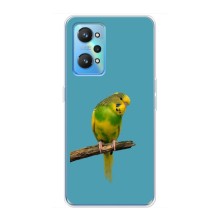 Силіконовий бампер з птичкою на Realme GT2 – Попугайчик