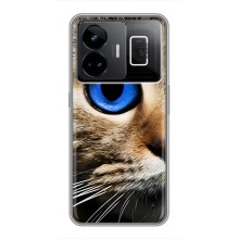 Чехлы с Котиками для Realme GT3 (VPrint) (Глаз кота)