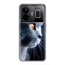 Чехлы с Котиками для Realme GT3 (VPrint) (Серый Кот)