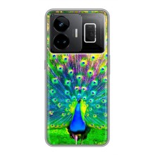 Чохол з пташками на Realme GT3 (VPrint) (Яскравий Павлин)
