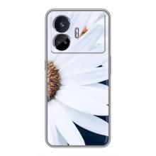 Чехол с ромашками на Realme GT5 – Пол ромашки