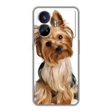 Чехол (ТПУ) Милые собачки для Realme GT5 – Собака Терьер