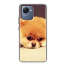 Чехол (ТПУ) Милые собачки для Realme NARZO 50i Prime (Померанский шпиц)