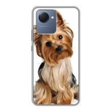 Чехол (ТПУ) Милые собачки для Realme NARZO 50i Prime (Собака Терьер)
