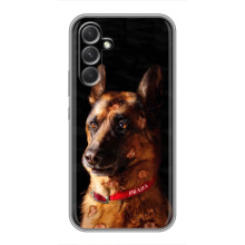 Чехлы с картинками животных RealMe Narzo 80 Lite 5G (Овчарка)