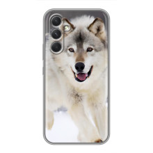 Чохол з Вовком на RealMe Narzo 80 Lite 5G