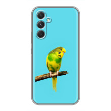 Силіконовий бампер з птичкою на RealMe Narzo 80 Lite 5G – Попугайчик