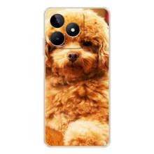Чехлы с собаками для Realme Note 60 (VPrint)