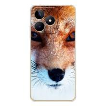 Чехол с Лисичкой для Realme Note 60 – Рыжая Лисичка