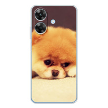 Чехол (ТПУ) Милые собачки для Realme Note 60x (Померанский шпиц)