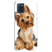 Чехол (ТПУ) Милые собачки для Realme V11 – Собака Терьер