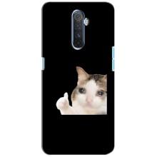 Бампер з принтом Меми для Realme X2 Pro – Кіт у сльозах