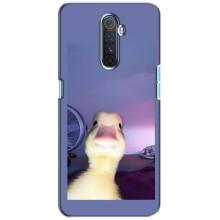 Бампер з принтом Меми для Realme X2 Pro – Качка