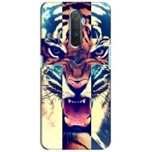 Чехлы с изображением разных животных для Realme X2 Pro (Яркий Тигр)