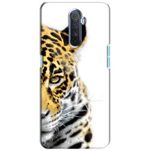 Чехлы с картинками животных Realme X2 Pro (Леопард)