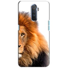 Чехлы с картинками животных Realme X2 Pro (Лев грива)