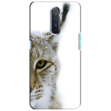 Чехлы с картинками животных Realme X2 Pro (Рысь)