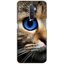 Чехлы с Котиками для Realme X2 Pro (VPrint) (Глаз кота)