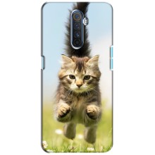 Чехлы с Котиками для Realme X2 Pro (VPrint) (Прыжок кота)