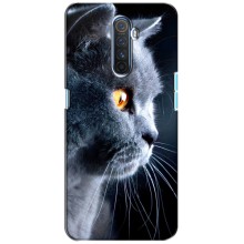 Чехлы с Котиками для Realme X2 Pro (VPrint) (Серый Кот)