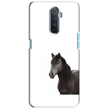 Чехлы с Лошадью дляRealme X2 Pro (VPrint) (Чорний кінь)