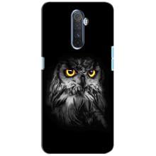Чехлы с принтом СОВЫ для Realme X2 Pro – Сова на чёрном