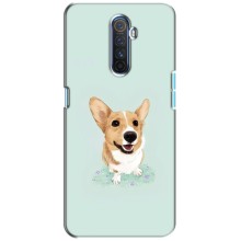 Чехлы с собаками для Realme X2 Pro (VPrint) (Корги)