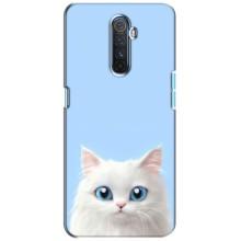 Чехол на тематику: Коты для Realme X2 Pro – Белый кот