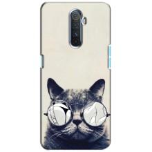 Чехол на тематику: Коты для Realme X2 Pro – Модный кот