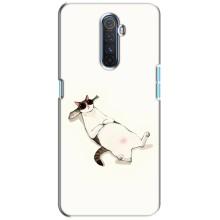 Чехол на тематику: Коты для Realme X2 Pro – Отдых
