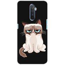 Чехол на тематику: Коты для Realme X2 Pro – Взгляд кота