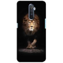 Чехол с картинкой на Realme X2 Pro – Красивый Лев