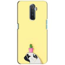 Бампер для Realme X2 Pro з картинкою "Песики" – Кактус на голові