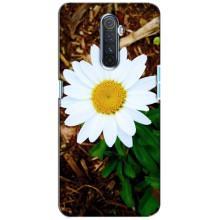 Чехол с ромашками на Realme X2 Pro – Белая ромашка
