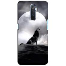 Чохол з Вовком на Realme X2 Pro – Вовк і місяць